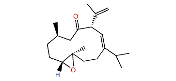 (4R,5S)-Epoxy-11-keto-(1S,10S)-cubata-8(E),18(2)-diene